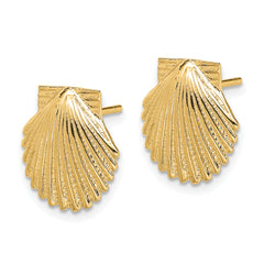 14K 2-D Polished Scallop Shell Post Earrings