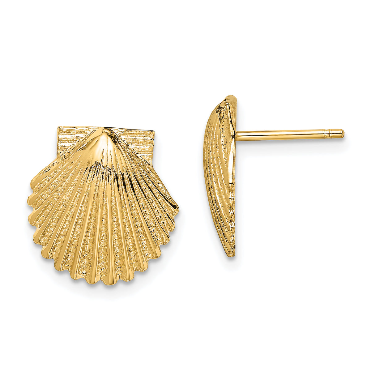 14K 2-D Polished Scallop Shell Post Earrings