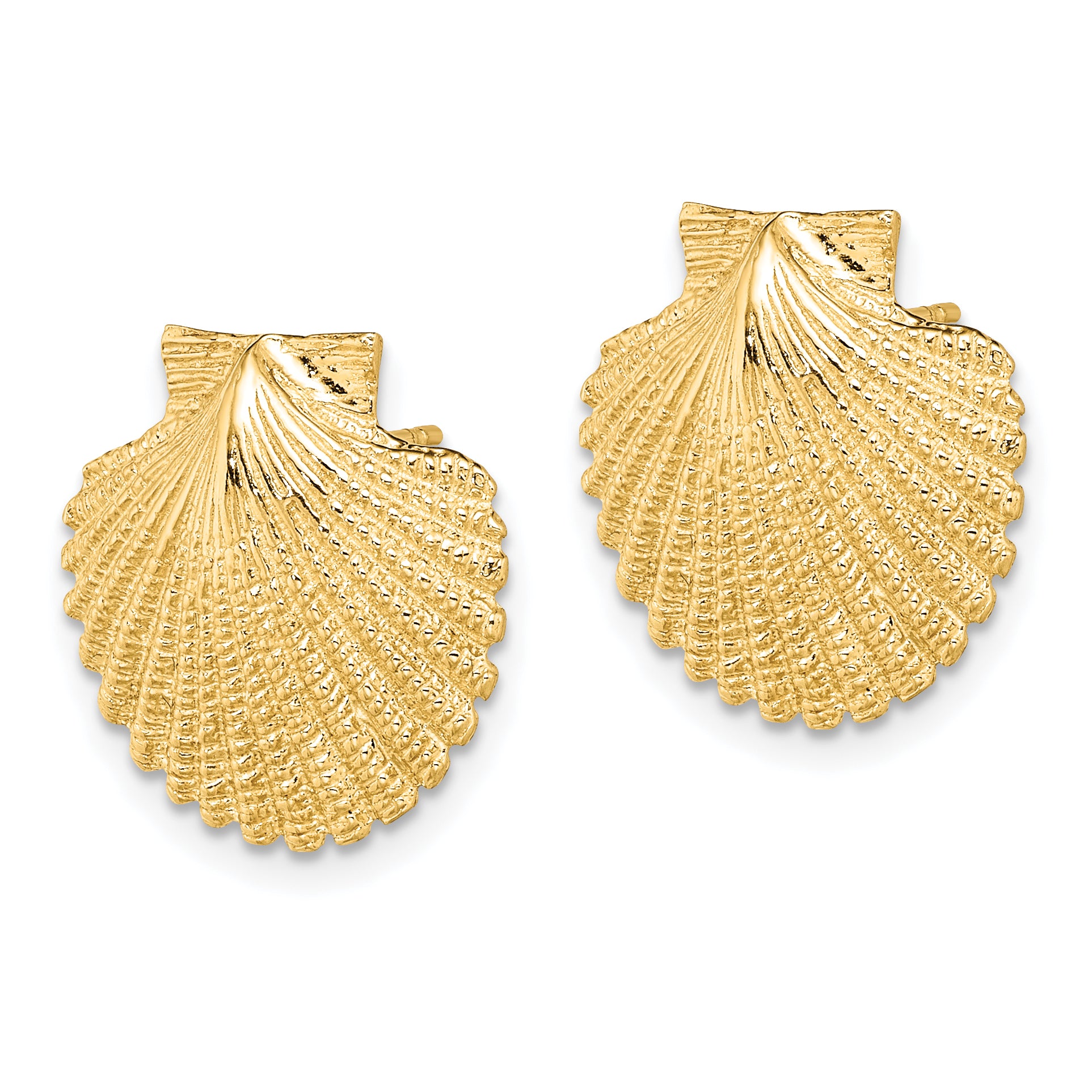 14K 2-D Textured Scallop Shell Post Earrings