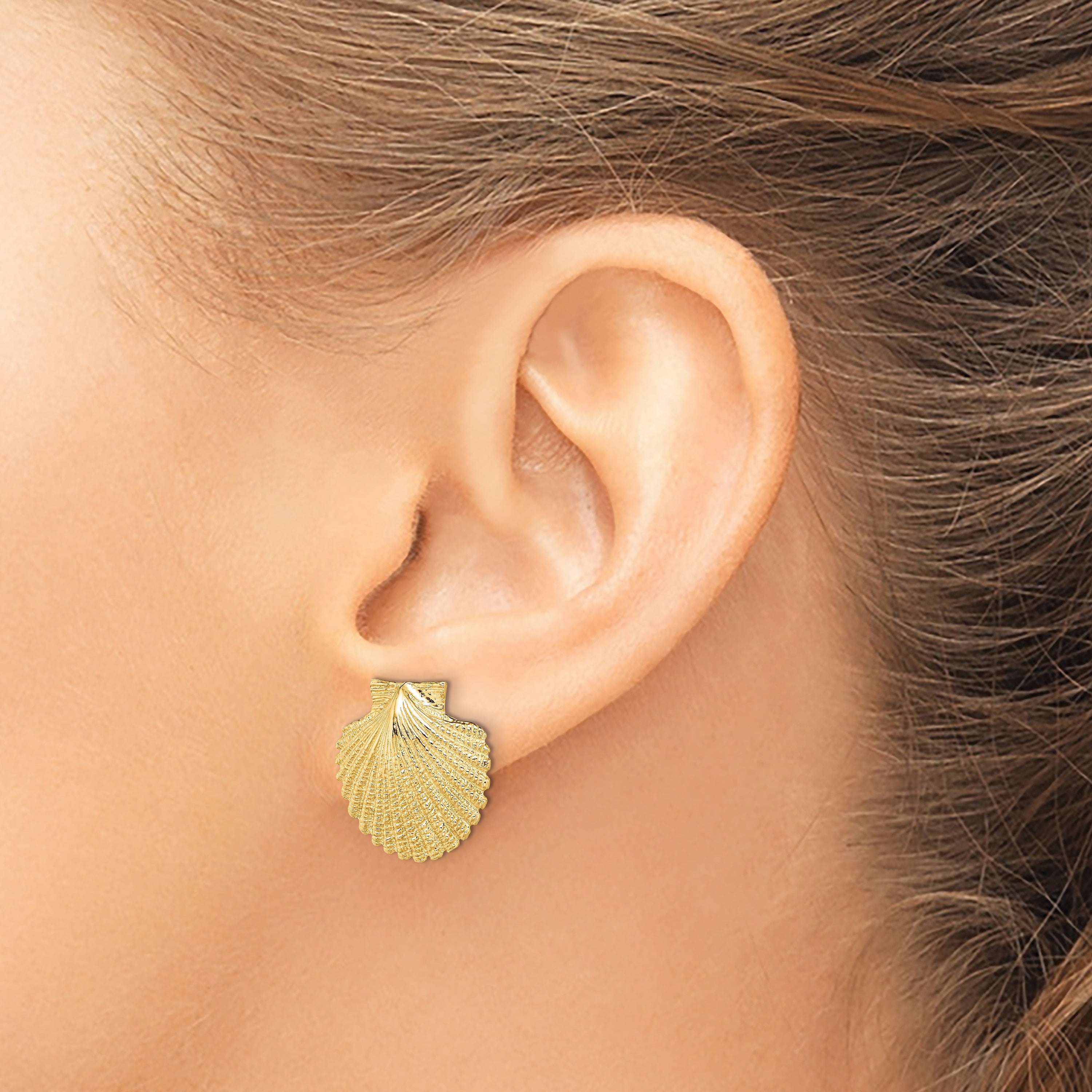 14K 2-D Textured Scallop Shell Post Earrings