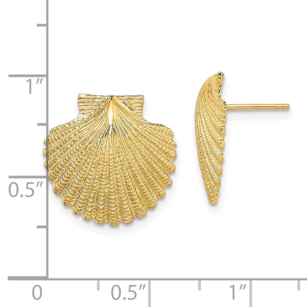 14K 2-D Textured Scallop Shell Post Earrings