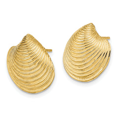 14K 2-D Textured and Polished Clam Shell Post Earrings