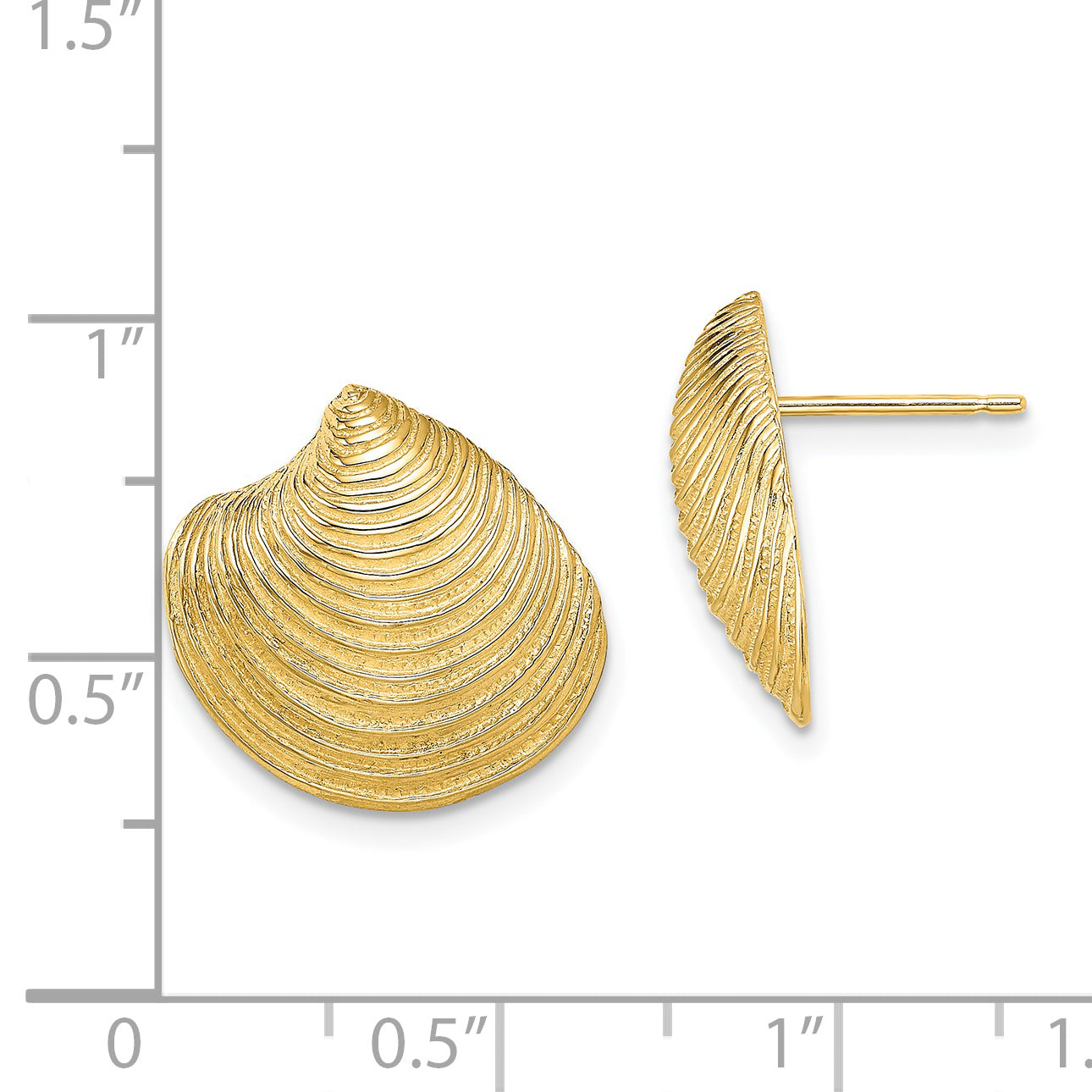 14K 2-D Textured and Polished Clam Shell Post Earrings