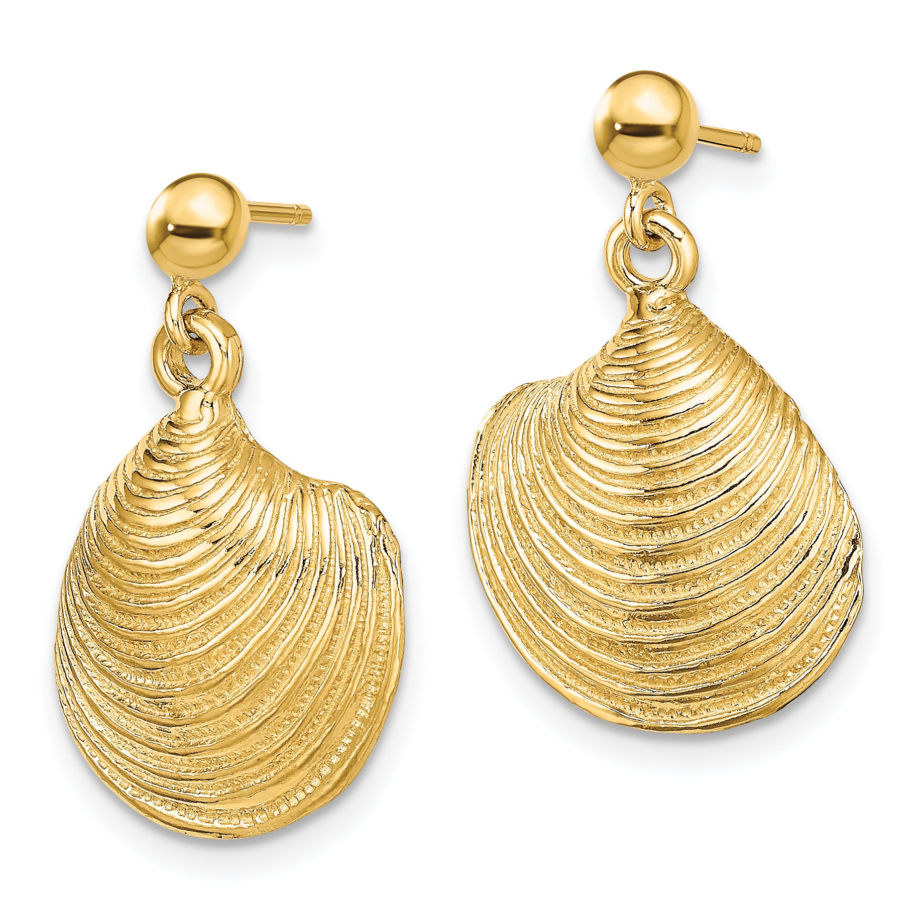 14K 2-D Textured and Polished Clam Shell Dangle Earrings