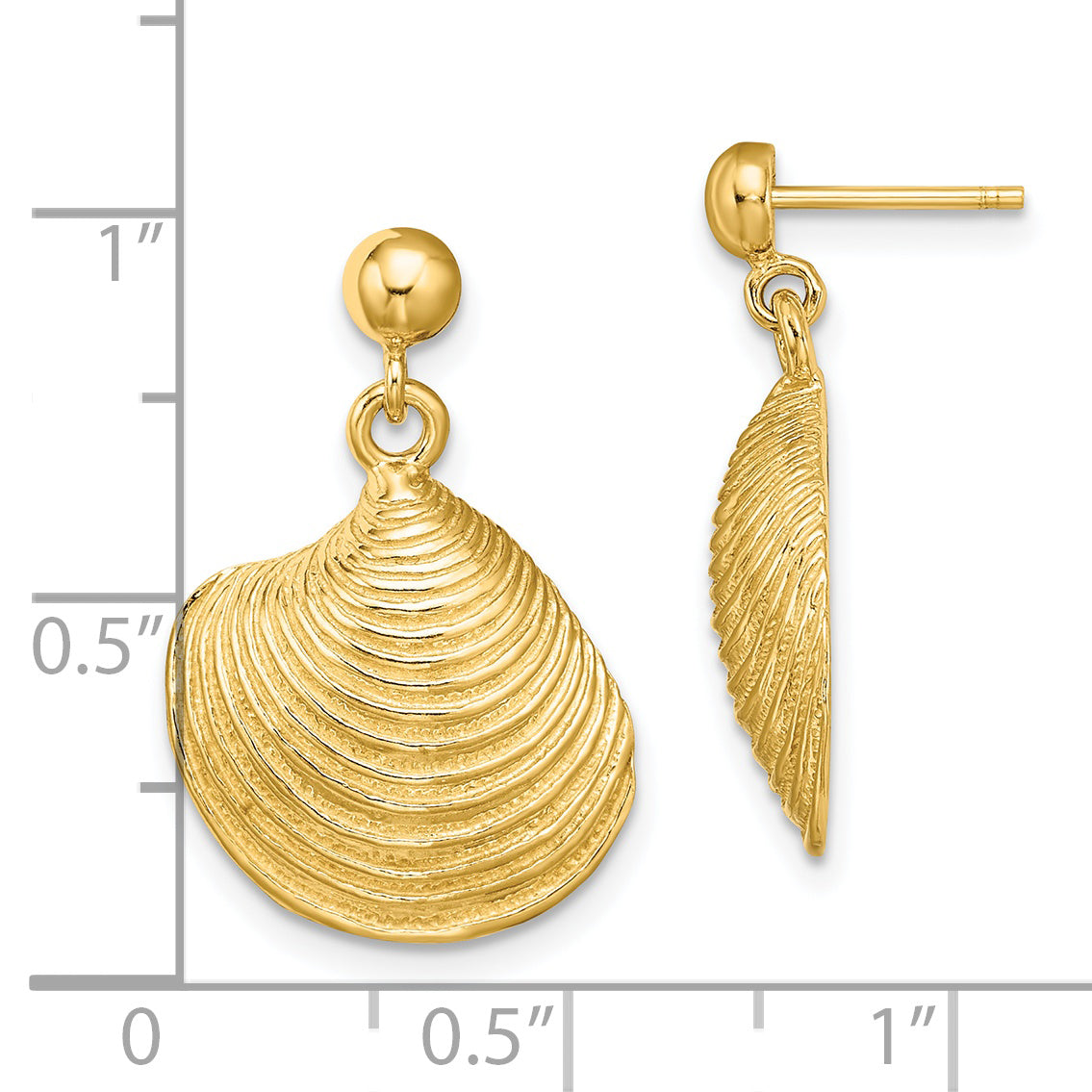 14K 2-D Textured and Polished Clam Shell Dangle Earrings