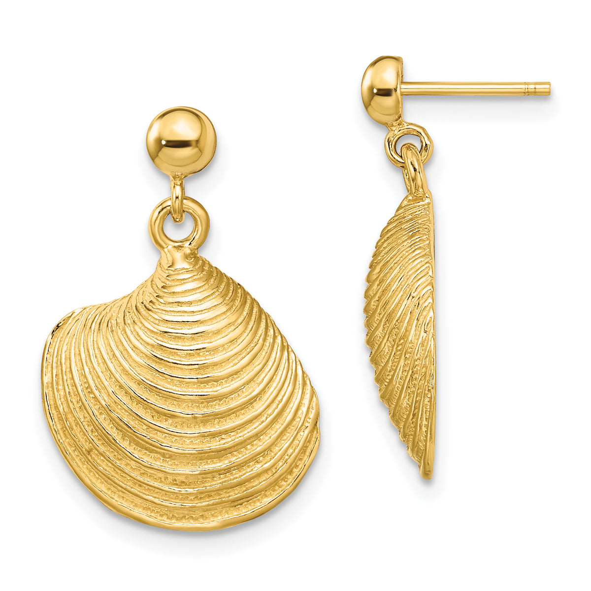 14K 2-D Textured and Polished Clam Shell Dangle Earrings