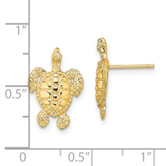 14K Polished and Textured Sea Turtle Post Earrings