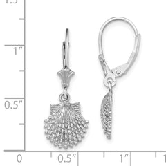 14K White Gold Beaded Scallop Shell Leverback Earrings