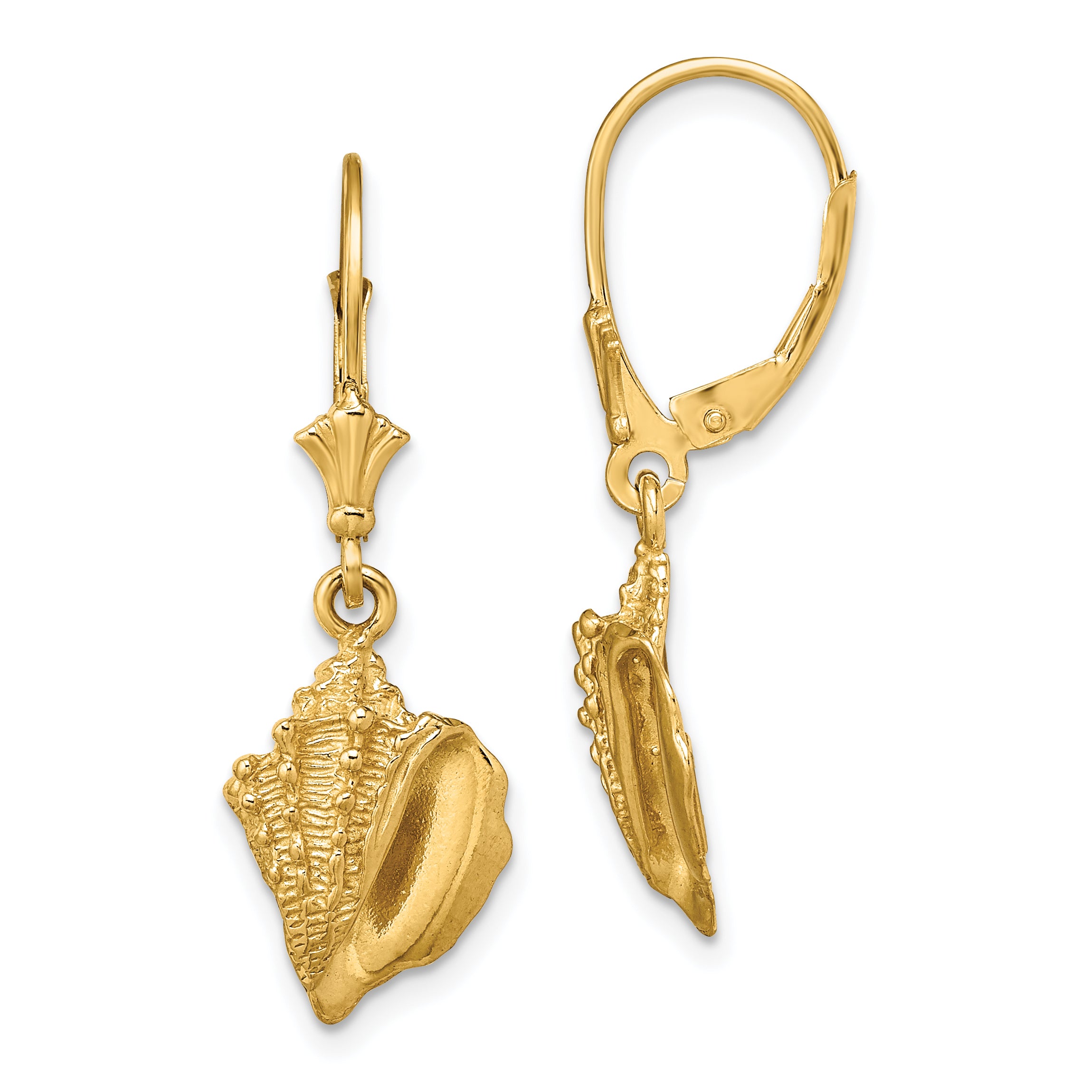 14K Conch Shell Leverback Earrings