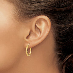 14K Polished and Fancy Hoop Earrings