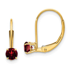 14K Garnet Earrings January