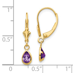 14k 6x4mm Amethyst/February Earrings