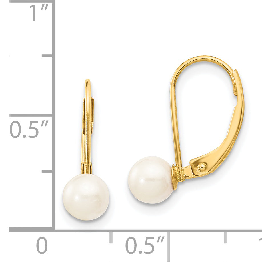 14k 5-6mm White Round Saltwater Akoya Cultured Pearl Leverback Earrings