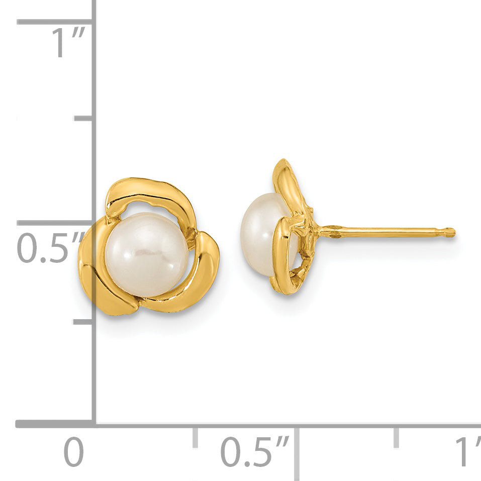 14k 5-6mm White Button Freshwater Cultured Pearl Post Earrings