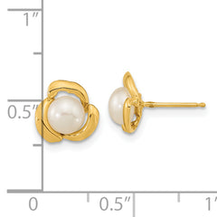 14k 5-6mm White Button Freshwater Cultured Pearl Post Earrings