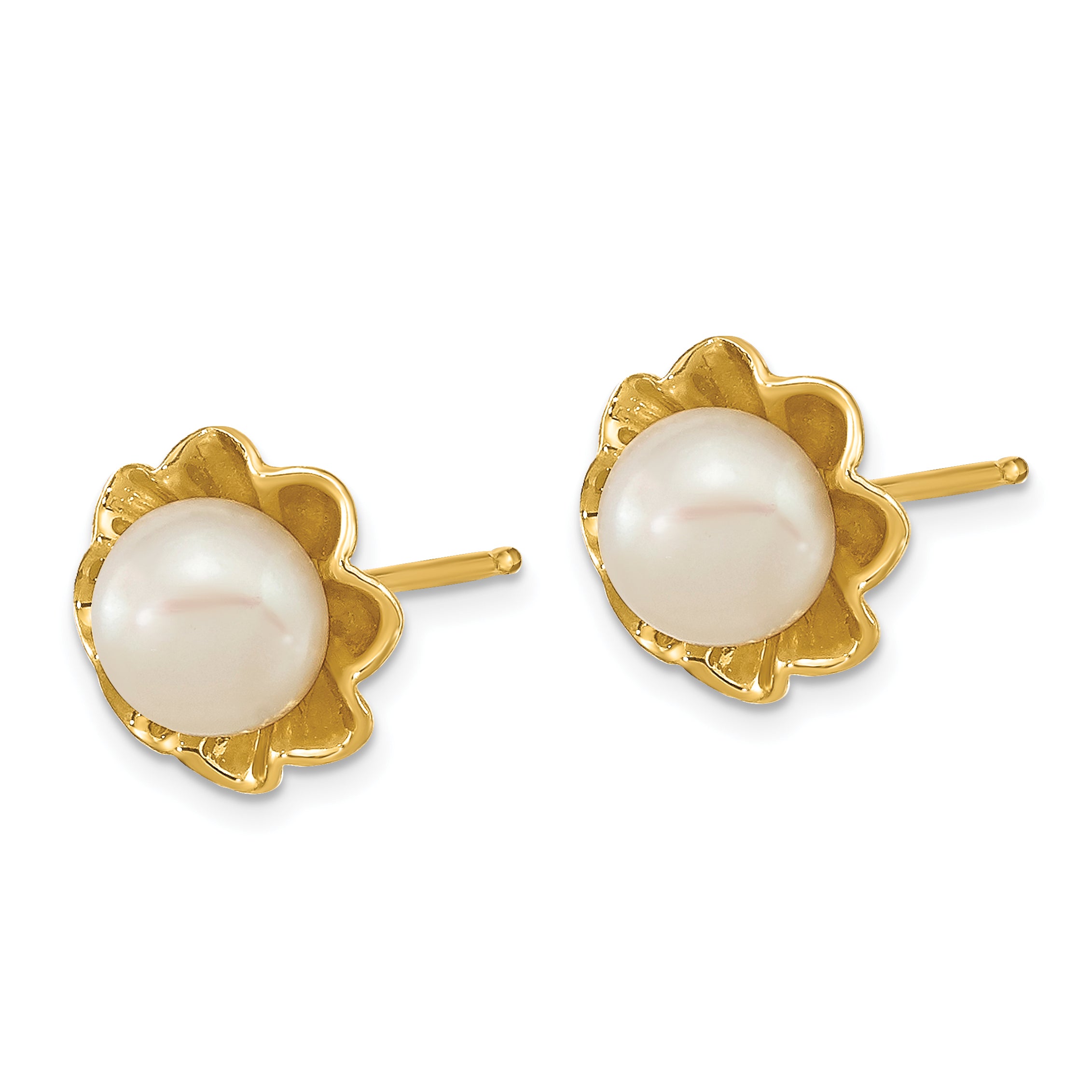 14k 5-6mm White Button Freshwater Cultured Pearl Post Earrings