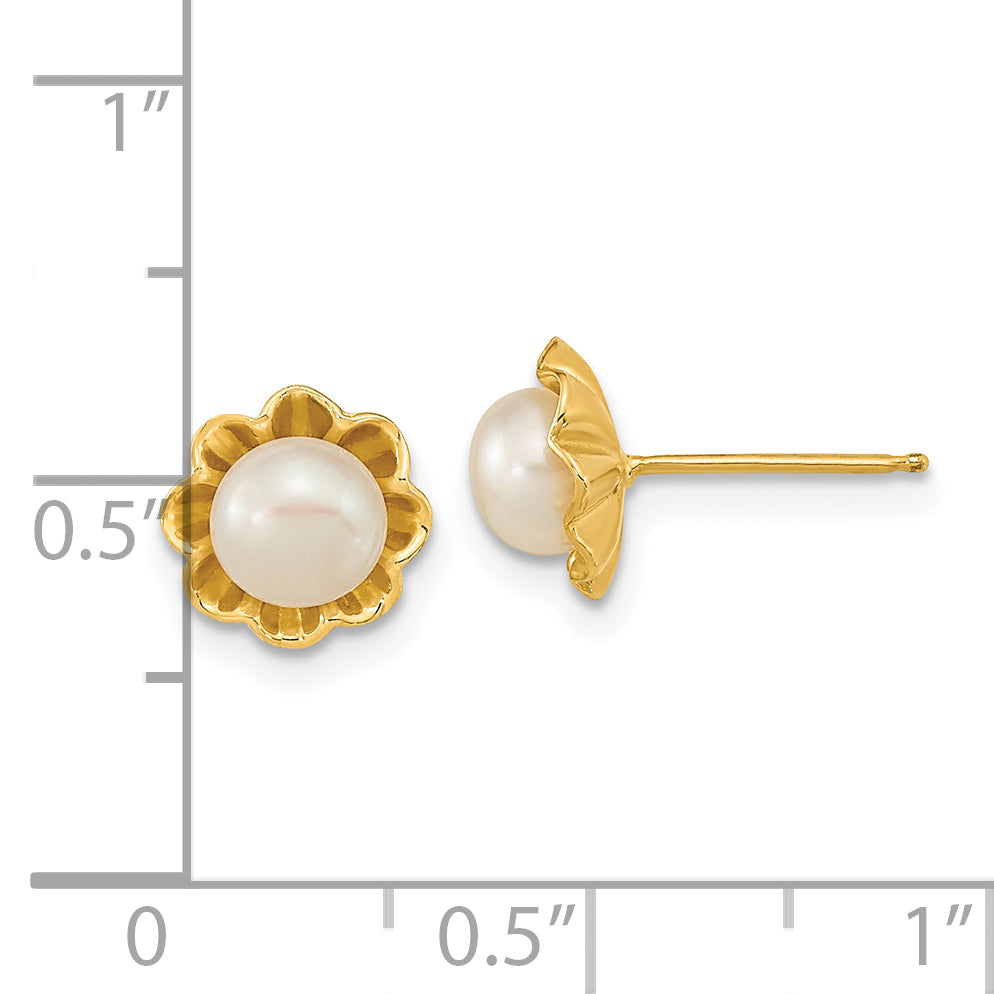 14k 5-6mm White Button Freshwater Cultured Pearl Post Earrings