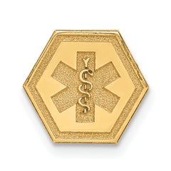 14k Non-enameled Attachable Medical Emblem Charm