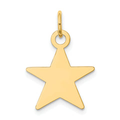 14K Star Disc Charm