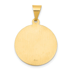 14K Polished and Satin St Francis Medal Hollow Pendant