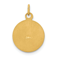 14K Saint Patrick Medal Charm