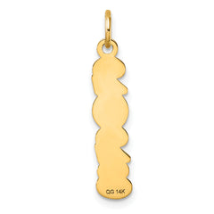 14K Polished and Satin Vertical 2023 Charm