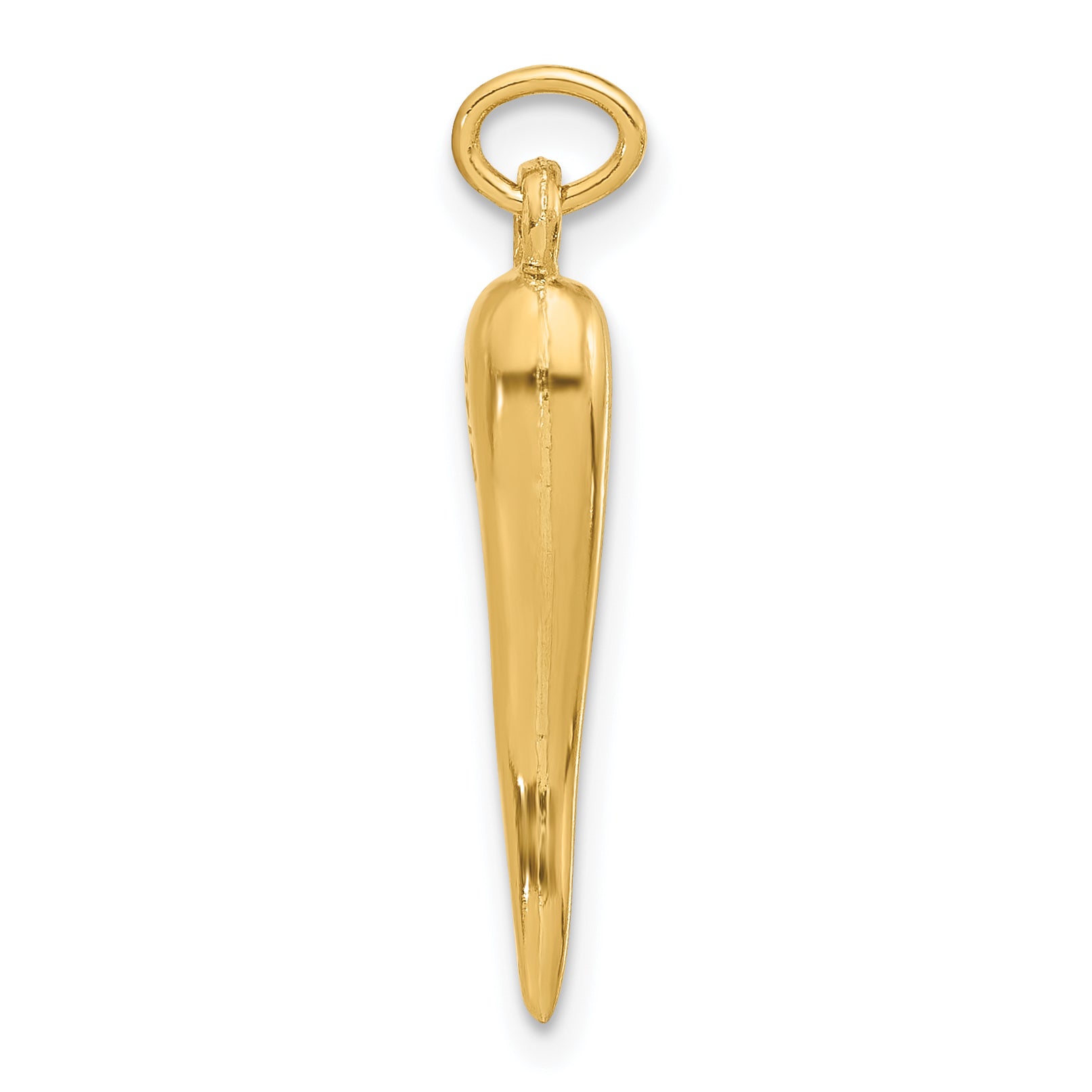 14k Polished Hollow Italian Horn Pendant