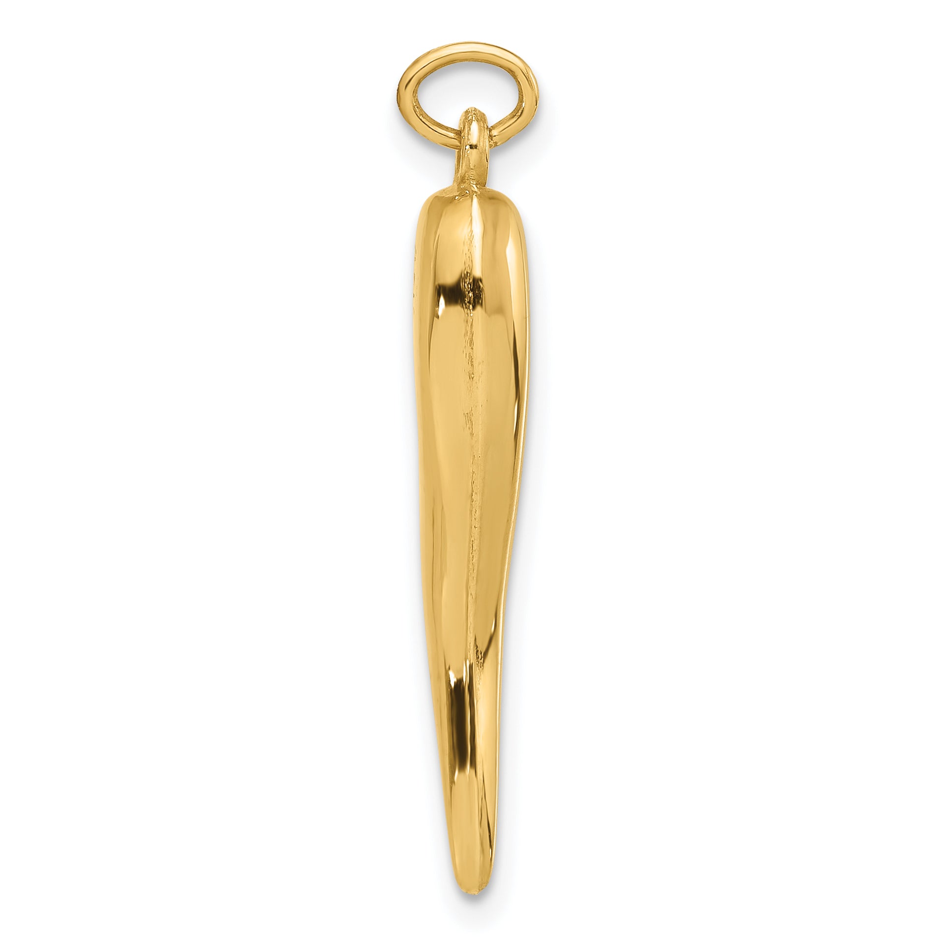 14k Polished Hollow Italian Horn Pendant