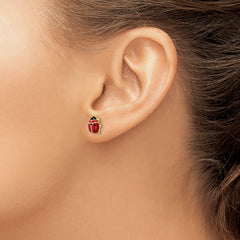 14k Polished Enameled Large Ladybug Post Earrings