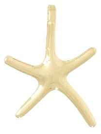 10k Dancing Starfish Charm